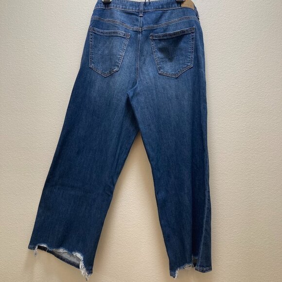 American Eagle Low-rise baggy wide leg size 10 short, raw back hem strech women - Picture 2 of 14